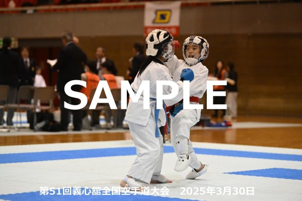 画像1: 第51回義心舘全国空手道大会224 (1)