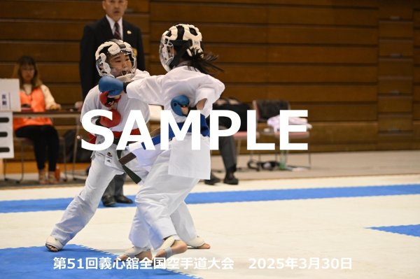 画像1: 第51回義心舘全国空手道大会201 (1)