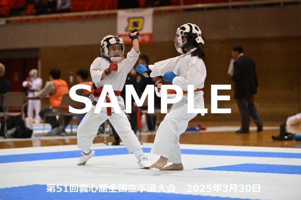 画像1: 第51回義心舘全国空手道大会240 (1)