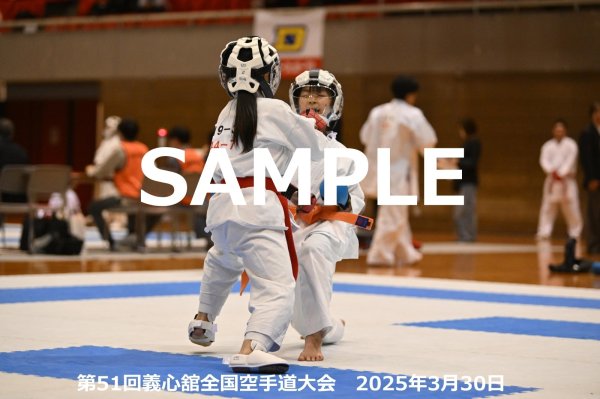 画像1: 第51回義心舘全国空手道大会238 (1)