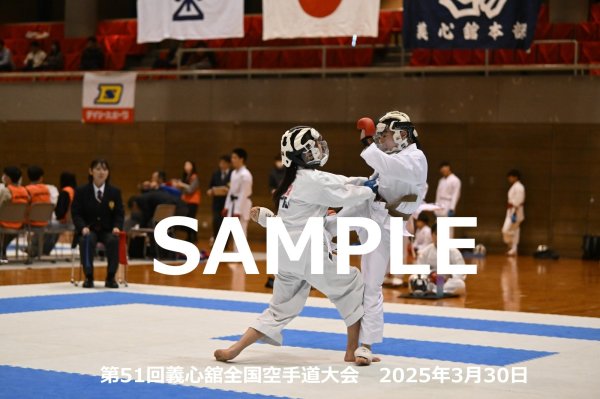 画像1: 第51回義心舘全国空手道大会259 (1)
