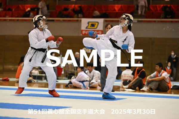 画像1: 第51回義心舘全国空手道大会286 (1)