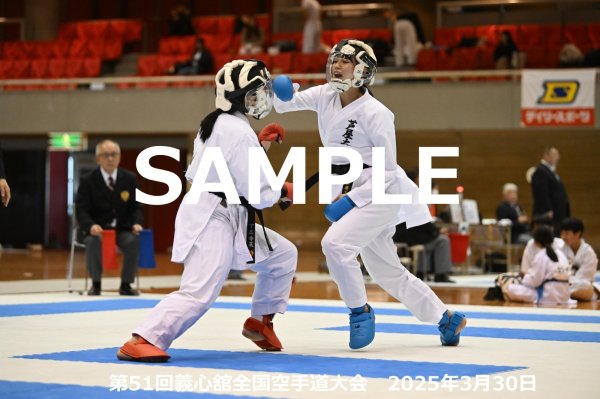画像1: 第51回義心舘全国空手道大会287 (1)