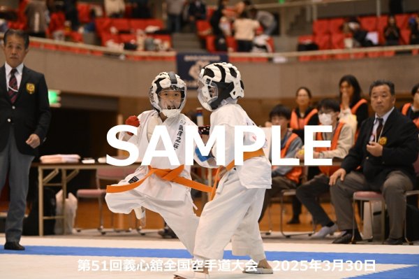 画像1: 第51回義心舘全国空手道大会313 (1)