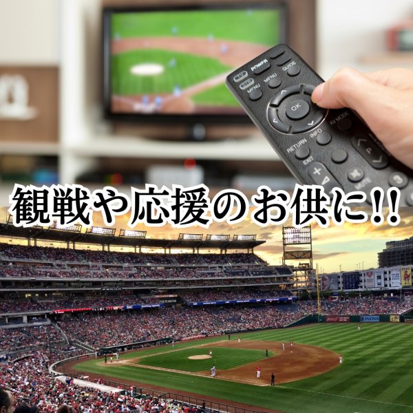 画像10: カツオバー 阪神タイガース 3種セット (10)