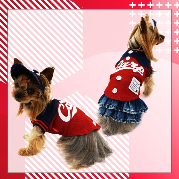 画像4: 広島カープ承認ドッグウェア　デニム切替Tシャツ (4)