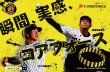 画像1: コアフォースループ　タイガースモデル (1)