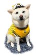 画像1: 阪神タイガース承認ドッグウェア　野球Tシャツ (1)