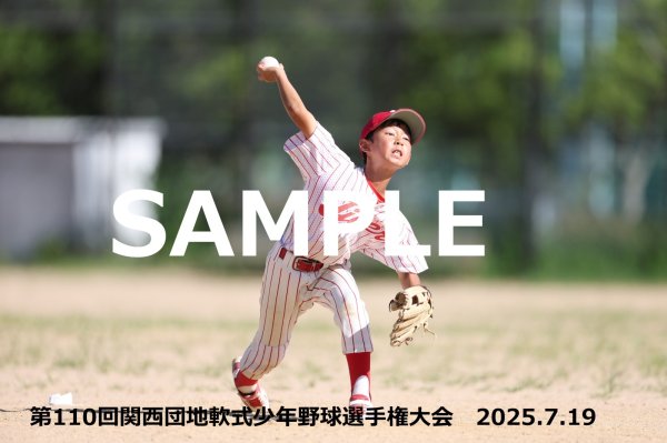 画像1: 第110回関西団地少年野球 H33 (1)