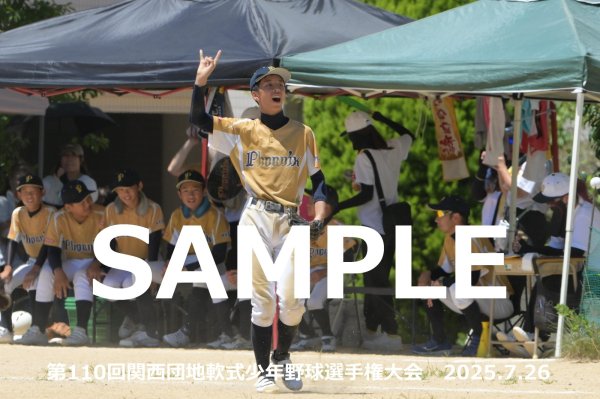 画像1: 第110回関西団地少年野球 N28 (1)