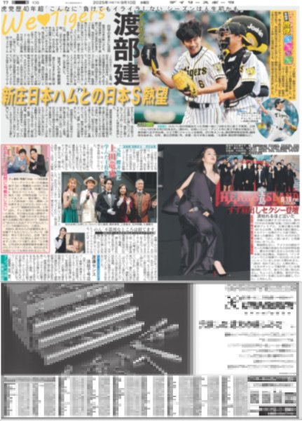 画像5: カラーで甦るデイリー紙面 【阪神 初 日本一】(東京版)2025年9月10日付 (5)