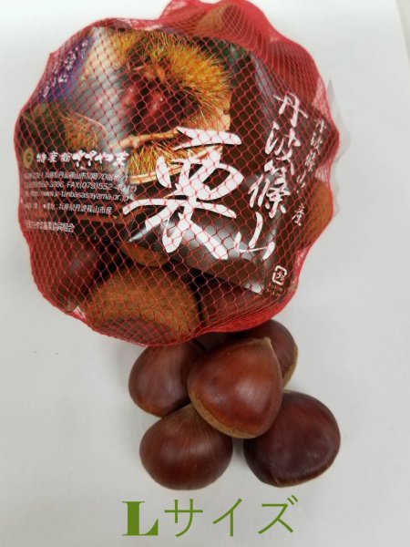 画像1: 【予約販売　10月上旬〜中旬お届け】最高級栗の代名詞・丹波篠山栗　Lサイズ（32mm以上35ｍｍ未満）約1キロ (1)