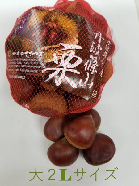 画像1: 【予約販売　10月上旬〜中旬お届け】最高級栗の代名詞・丹波篠山栗　大2Lサイズ（35mm以上39ｍｍ未満）約1キロ (1)
