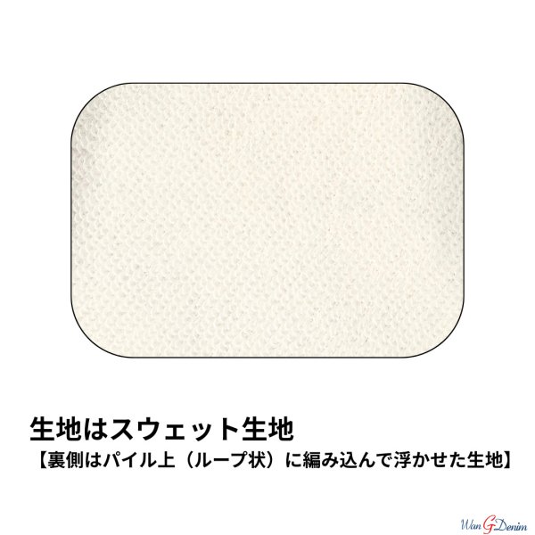 画像4: 阪神タイガース承認ドッグウェア　タイガースラグランTシャツ (4)