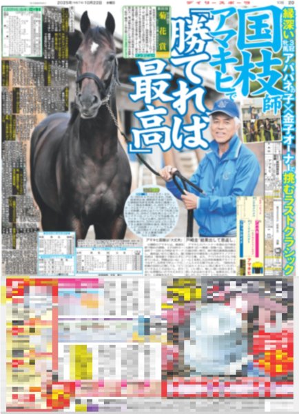 画像7: 櫻井翔 建築にハマる（東京版）2025年10月22日付 (7)