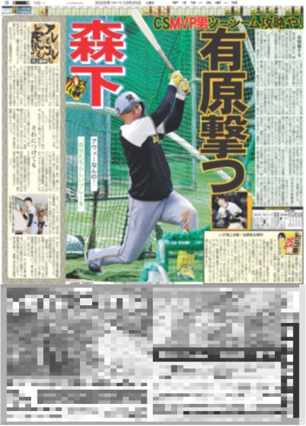 画像4: FRUITS ZIPPER 鎮西寿々歌 今年こそ歴史を変えて（東京版）2025年10月25日付 (4)