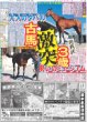 画像7: 東京国際映画祭開幕（東京版）2025年10月28日付 (7)