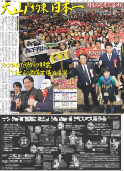 画像2: 阪神タイガース祝勝パーティー 森下 ホームラン王 / MORE STAR もっと、キラッと憧れられる存在に（東京版）2025年12月9日付 (2)