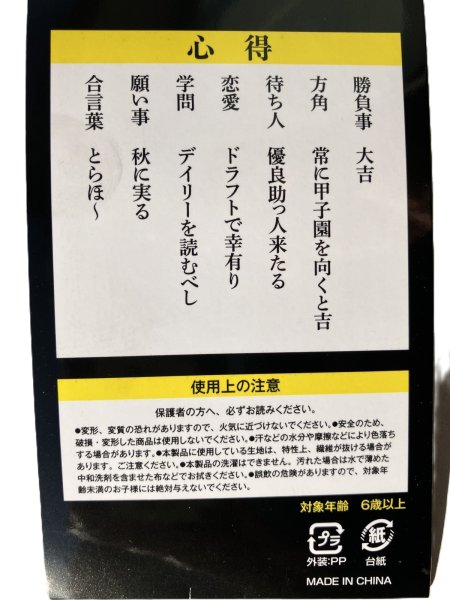 画像3: デイリースポーツオリジナル　【デイリーさんの黒しっぽマスコット】 (3)