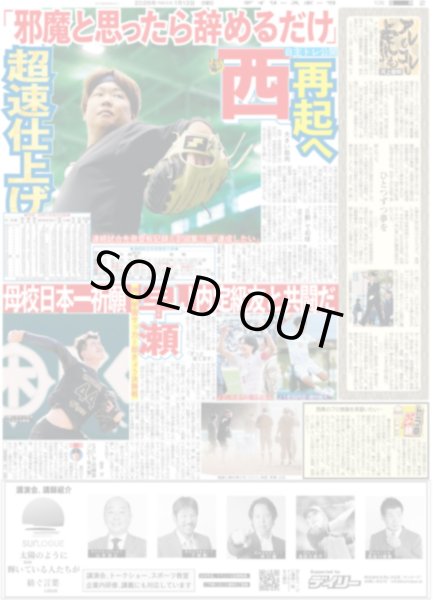 画像4: 松本まりか 「元科捜研の主婦」/ timelesz 原嘉孝 「団結」（東京版）2026年1月12日付 (4)