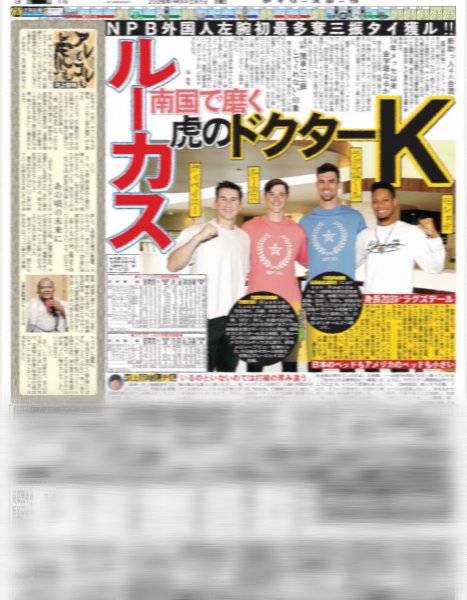 画像3: FRUITS ZIPPER 2.1夢の初東京Dライブ 史上最大のNEW KAWAII受け取って（ドーム限定版）2026年2月1日付 (3)