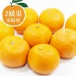 画像1: 【幻の春みかん・カラマンダリン】（2級果・家庭用約5キロ） (1)