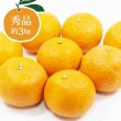 画像1: 【幻の春みかん・カラマンダリン】（秀品約３キロ） (1)
