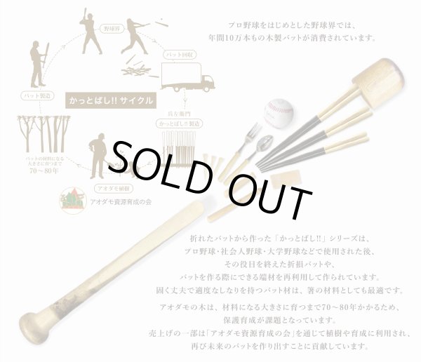 画像8: ブルぺん／広島東洋カープ (8)