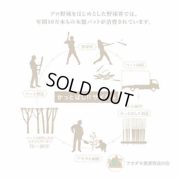 画像6: ブルぺん／広島東洋カープ (6)