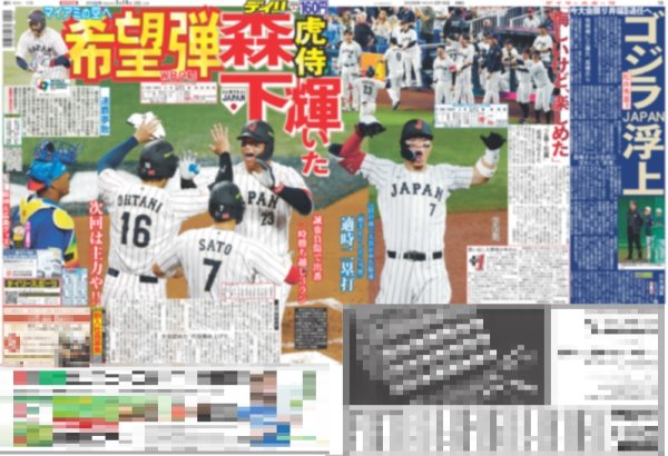 画像1: 森下 希望弾 虎侍輝いた（東京版）2026年3月16日付 (1)