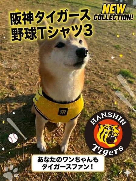 画像1: 阪神タイガース承認ドッグウェア　野球Tシャツ3 (1)