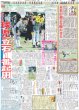 画像2: 立石 プロ初打点&猛打賞（東京版）2026年5月23日付 (2)