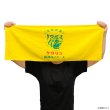 画像2: 阪神タイガースのケロリン桶 フェイスタオル 生涯虎湯 (2)