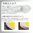 画像2: 【受注販売】2026阪神タイガース優勝ロゴ 珪藻土コースター2枚セット(デイリースポーツV2題字&ブレないおっさん) (2)