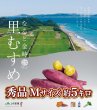 画像1: 【砂地が育てる最高級のなると金時 里むすめ 秀品Mサイズ（約5キロ）】 (1)
