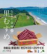 画像1: 【砂地が育てる最高級のなると金時 里むすめ B級品（家庭用）約5キロS〜２Sサイズ（約5キロ）】 (1)