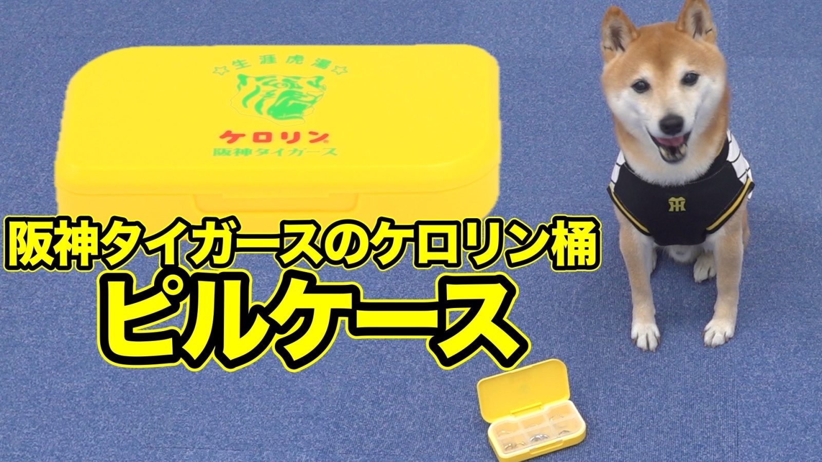 【新入荷】阪神タイガースのケロリン桶「生涯虎湯」エコバッグ・ピルケース・シャワーサンダルが待望の入荷！