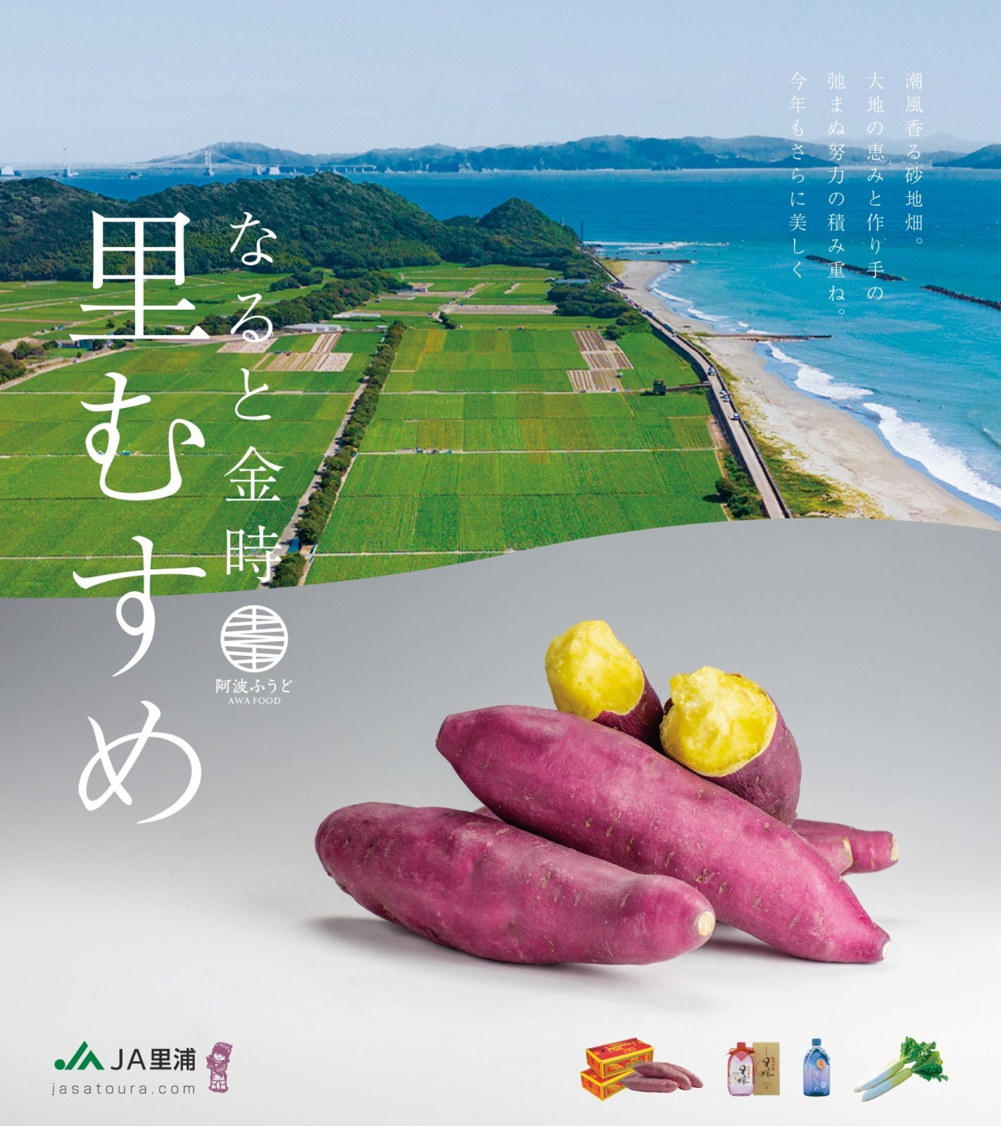 徳島県産・最上級なると金時「里むすめ」販売開始のお知らせ